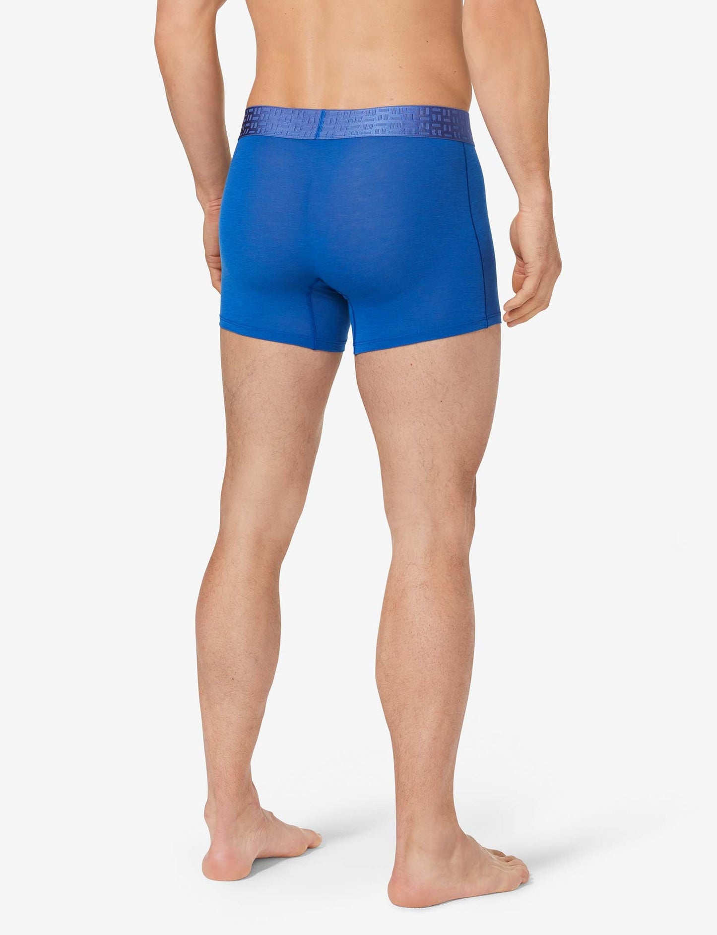 Apollo Trunk 4"::Surf The Web
