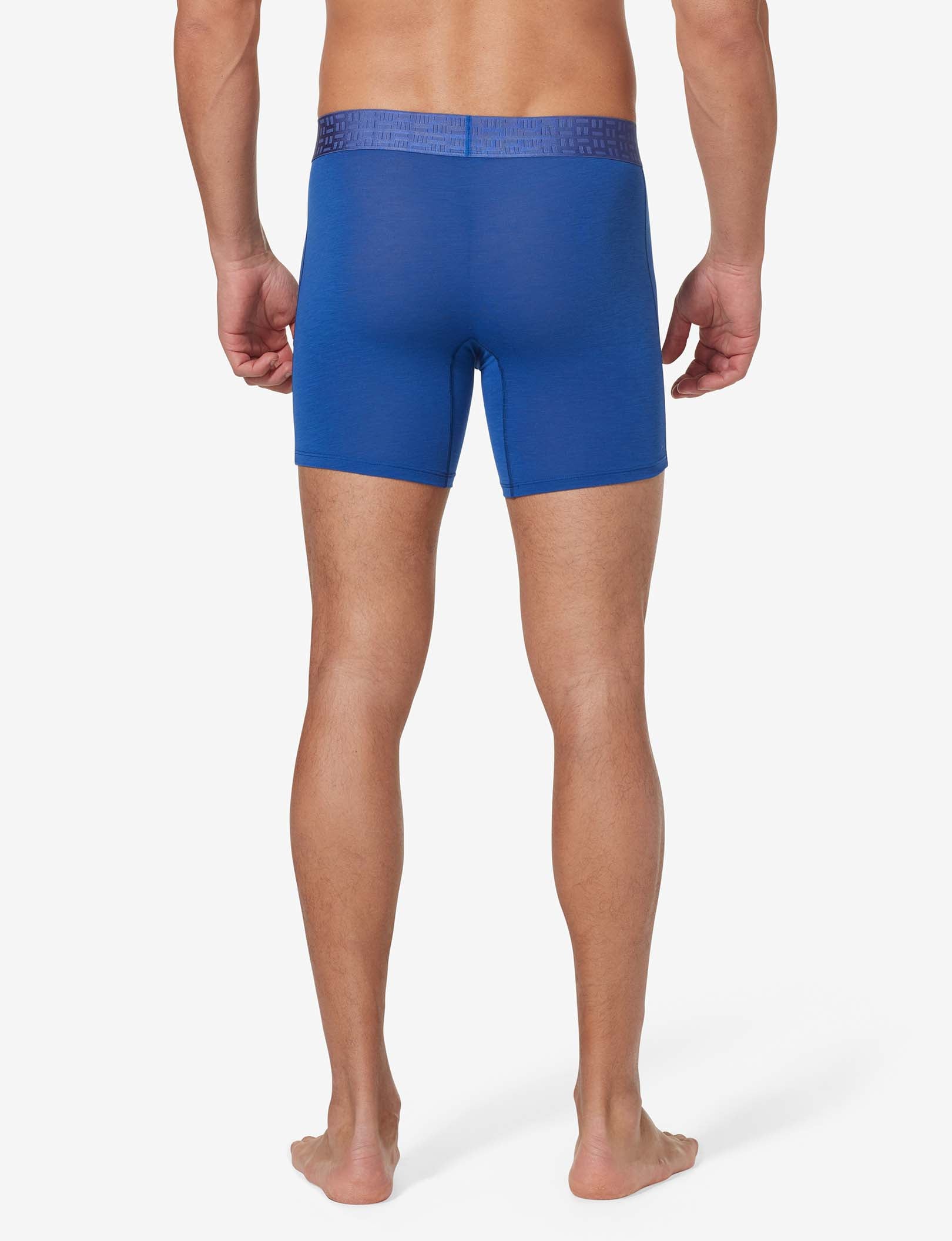 Apollo Mid-Length Boxer Brief 6"::Surf The Web